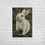 Thumbnail: White Rabbit enhanced matte poster print