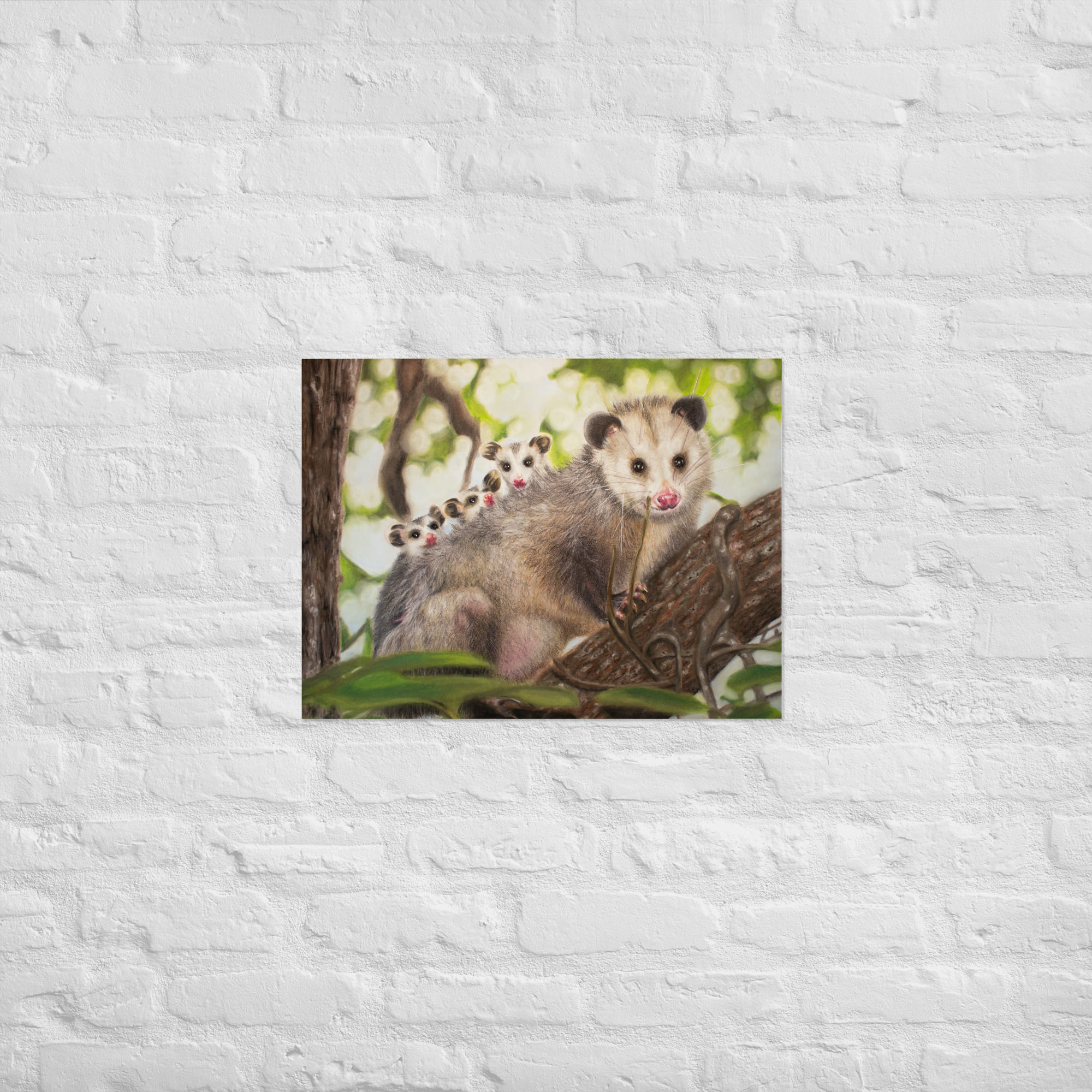 Possum Family Enhanced Matte Poster Print