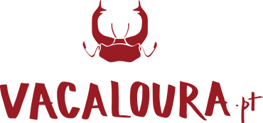 VacaLoura (4).png