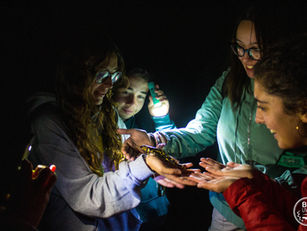 Natureza e Educação para Todos: Projeto CIRA Natura chega ao fim