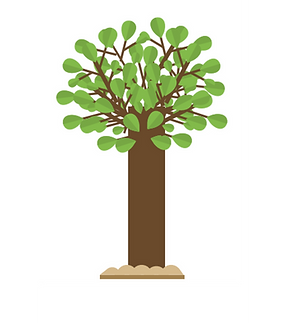 Annual Sponsorship Activities3.4.png