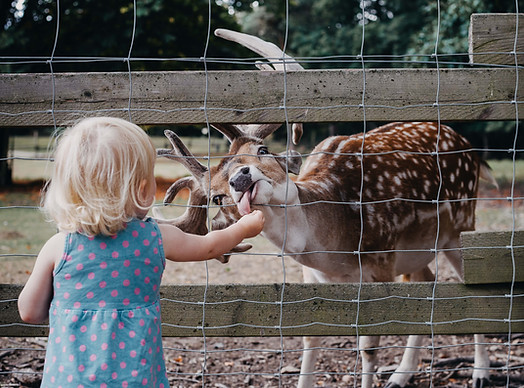 pia-vogel-fotografie-natuerliche-familie