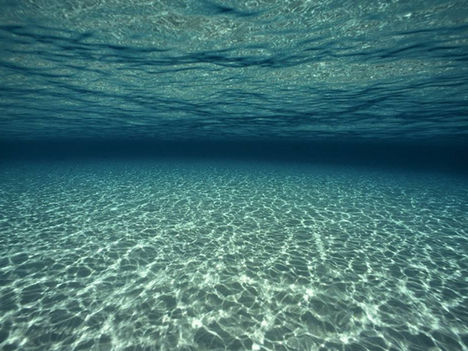 #COLUNAS/Do Blues à Política: 'Oi.'