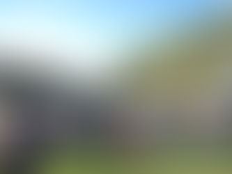 #COLUNAS/Gula de Rua: confira como foi o 'Cerrado Bier Fest'.