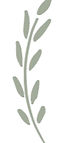 Wild Indigo Sound Healing Logo 500px