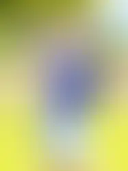 Casa de Campo Resort & Villas, reconocido mundialmente por albergar los campos de golf más prestigiosos del Caribe, anunció la incorporación de Delfina Acosta como su nueva Asistente de Golf Profesional, fortaleciendo aún más su equipo y su oferta para huéspedes y miembros.