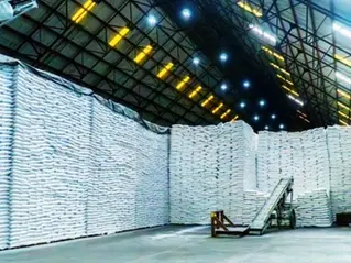 Central Romana rompe récord en bonificaciones tras zafra 2024-2025 más de RD$1,000 millones para sus empleados