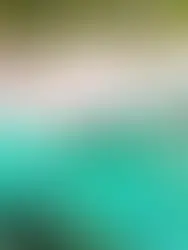 Crece la llegada de turistas argentinos a La Romana y supera en algunos casos al mercado estadounidense