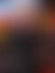 Wandy Batista El mejor libra por libra de los Diputados Romanenses en la primera legislatura 