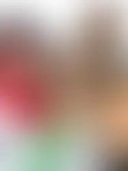 Tribunal ordena a vicealcaldesa y 13 regidores de La Romana devolver más de RD$2.3 millones por aumento salarial ilegal