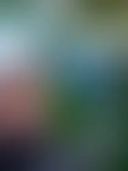 Luego de su estadía en Casa de Campo, LeBron James se declara “adicto” al golf