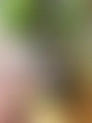 ¿Nueva política turística En La Romana los enajenados son parte del paisaje