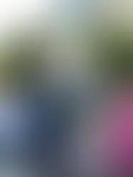 La Romana conmemora 124 años de historia con emotiva sesión en el Ayuntamiento