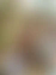 La inmigración haitiana en La Romana historia, impacto y actualidad