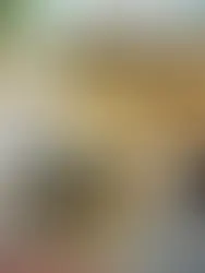 Sargazo invade Bayahibe y Caleta negocios y turismo de La Romana en crisis