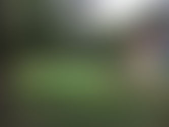 One Year of Blogging - Many Years of Projects!