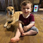 IMG_0092.jpeg