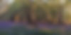 TheBastenJourney_Landscape-34.jpg