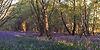 TheBastenJourney_Landscape-34.jpg