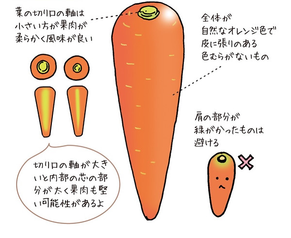 にんじん 見分けた.jpg