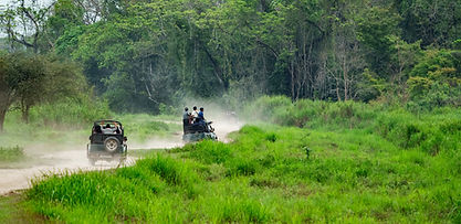 Wildlife Safari Nepal