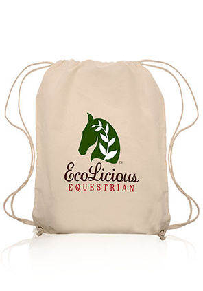 Non Woven Drawstring Backpack