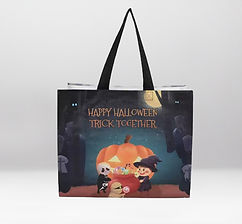 Eco Friendly Laminated Polypropylene Wov