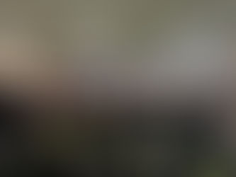 TwinLoop at the ILSI Europe Workshop on Non-PET Plastic Recycling