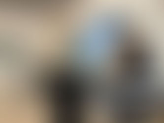 TwinLoop presented at the ASTRAGAL Days