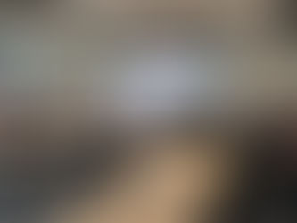 TwinLoop: Kick-off meeting