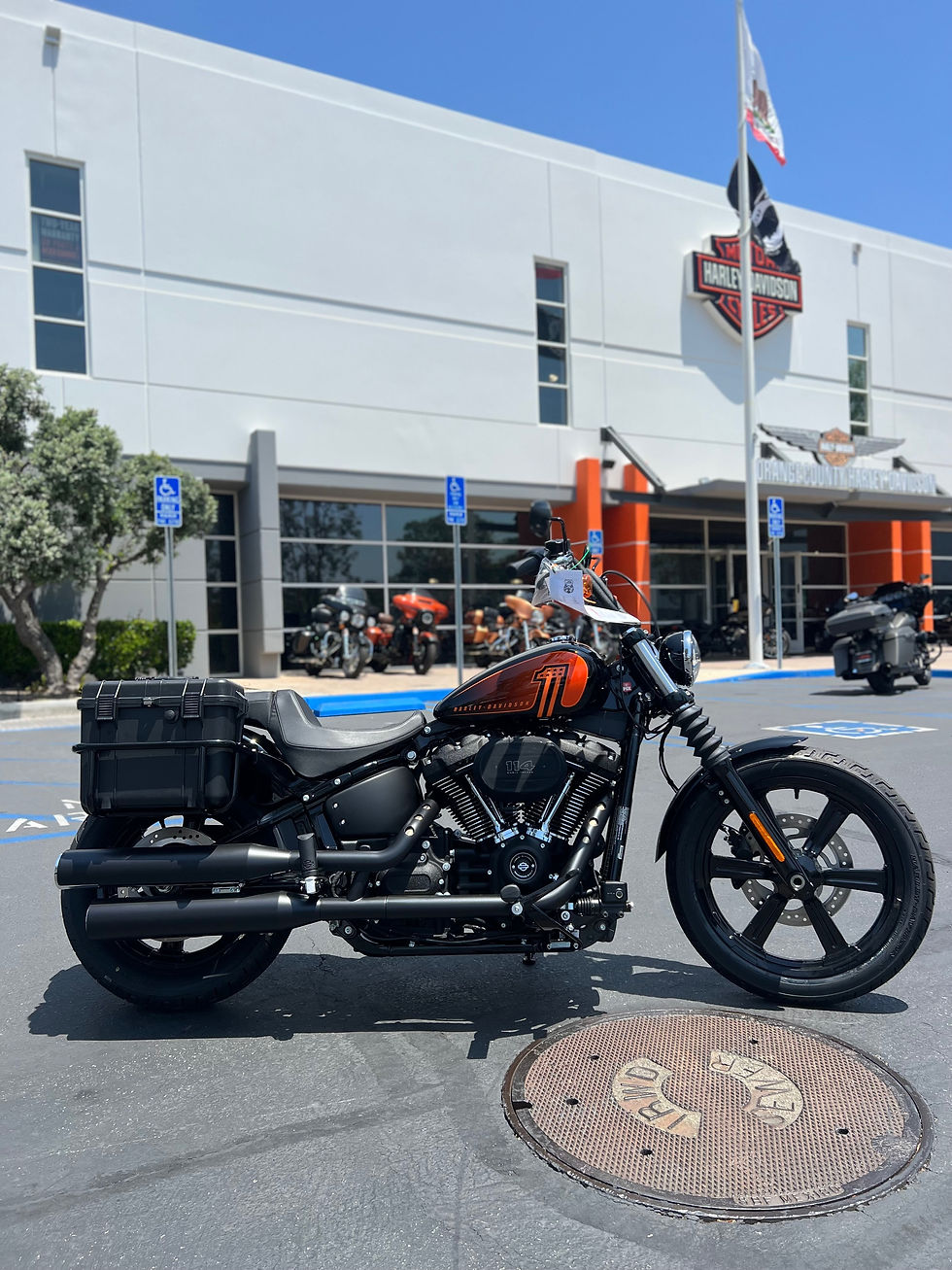 Thumbnail: Vigilante bags - Harley Davidson