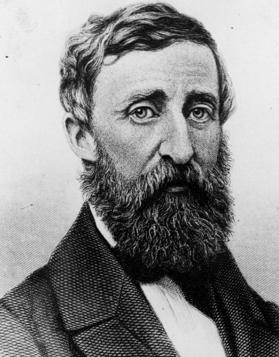 Thoreau Naturalist