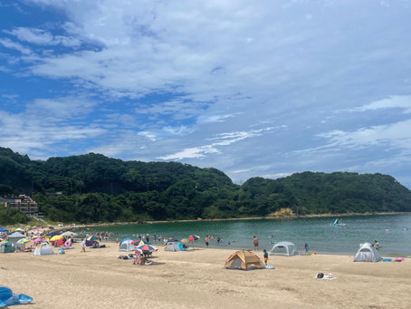 夏季予約開始しました