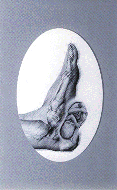 susanna enzer, maternity reflexology qualification
