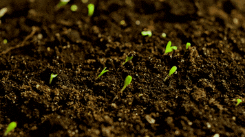 growing.gif