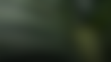 20.png