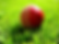 Red ball
