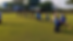 People in blue shirts are stretching on a grassy field with trees and a building in the background, creating a relaxed and focused mood.