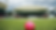 pink ball