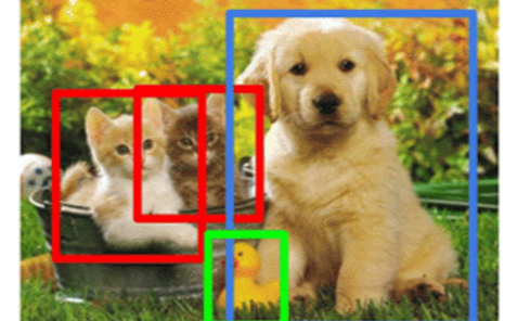 classification-object-detection_edited.p
