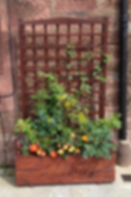 Library planter 2.jpeg
