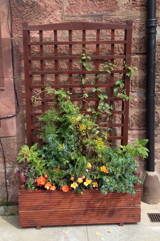 Library planter 2.jpeg