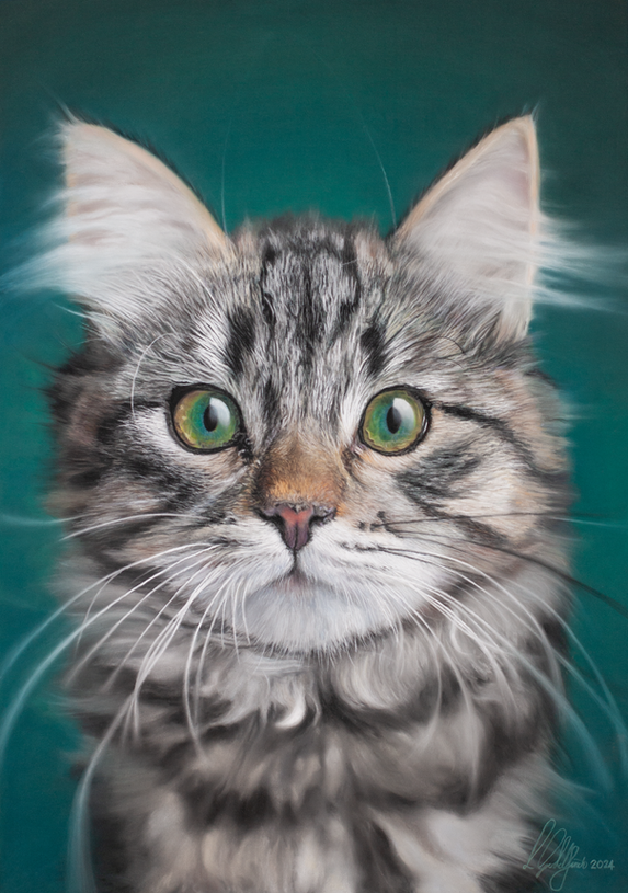 Hyperrealist Pastel Portrait drawing of Maine Coon Tabby cat on Jade background by Luke Goldfinch