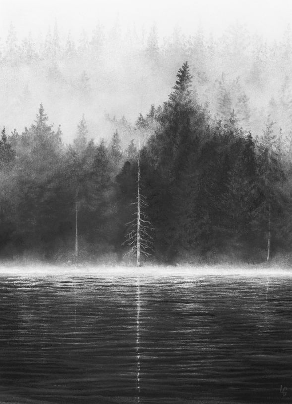 realistic black and white pastel charcoal landscape drawing of misty pines on waters edge, serene and moody