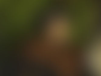 Portrait of Sir Thomas More