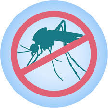 Mosquito Services