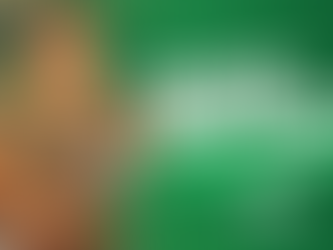 La Feria del Mercadito Campesino en Nandaime Cultivando Sueños