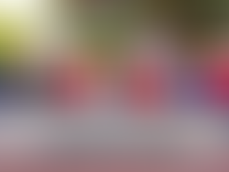 Impulso Avícola: Bono Nic Solidario para Protagonistas de Granada