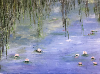 quiétude sur le lac.jpeg