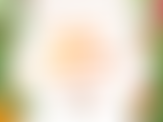 🎄 Join Us for a Christmas Lunch & Treasure Hunt at MiPlace!